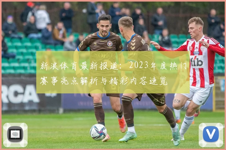 新浪体育最新报道：2023年度热门赛事亮点解析与精彩内容速览