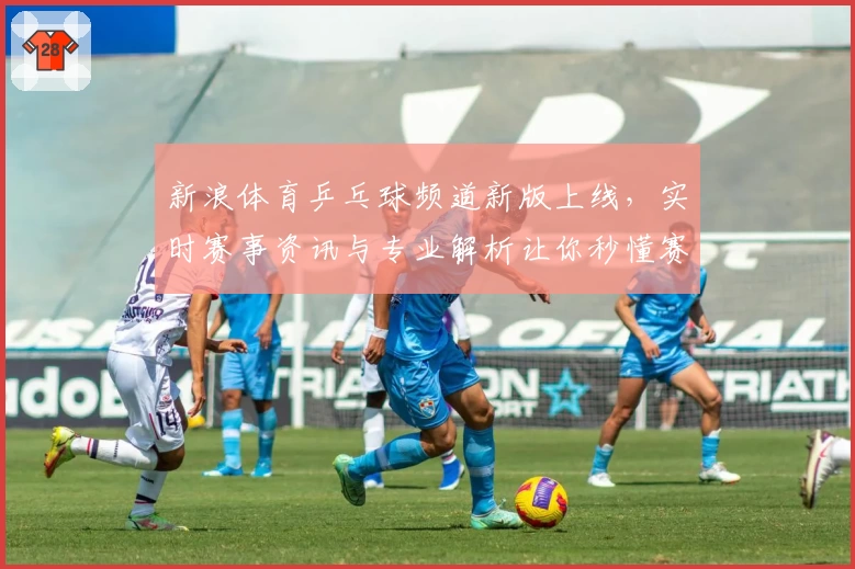 新浪体育乒乓球频道新版上线，实时赛事资讯与专业解析让你秒懂赛场精彩