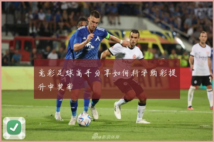 竞彩足球高手分享如何科学购彩提升中奖率