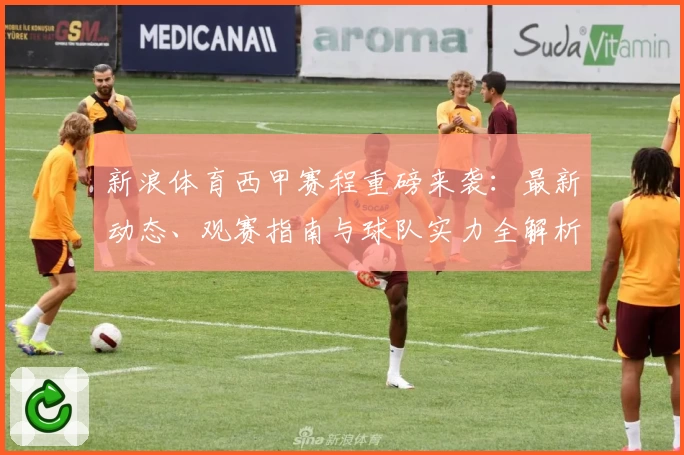 新浪体育西甲赛程重磅来袭：最新动态、观赛指南与球队实力全解析