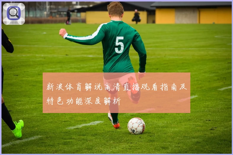 新浪体育解说高清直播观看指南及特色功能深度解析