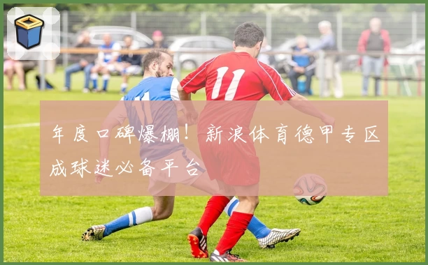 年度口碑爆棚！新浪体育德甲专区成球迷必备平台