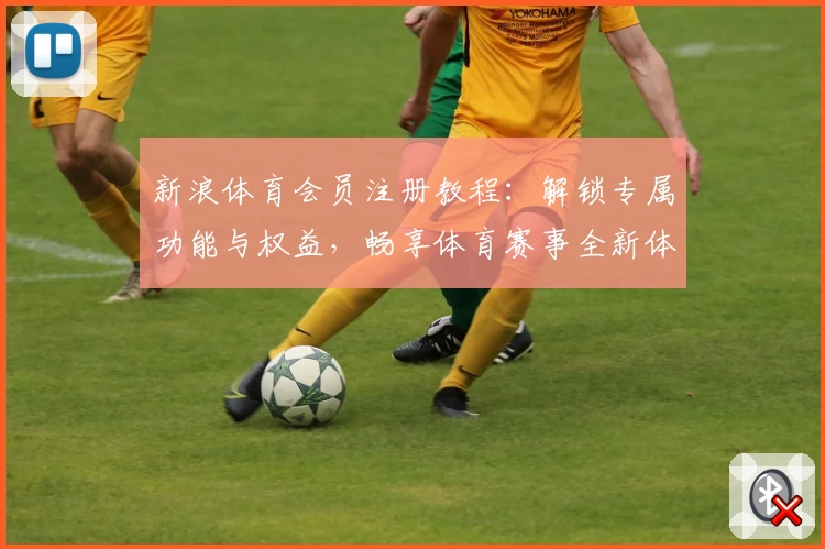 新浪体育会员注册教程:解锁专属功能与权益,畅享体育赛事全新体验