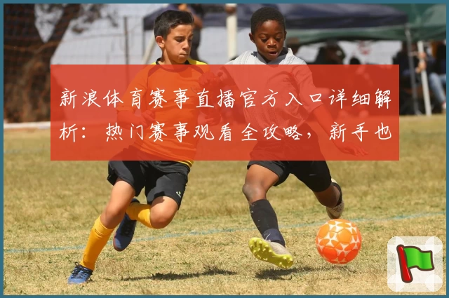 新浪体育赛事直播官方入口详细解析：热门赛事观看全攻略，新手也能快速上手