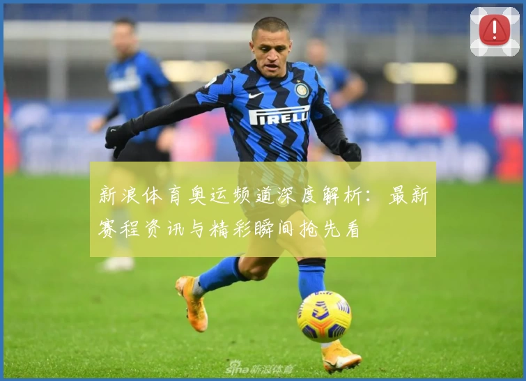 新浪体育奥运频道深度解析：最新赛程资讯与精彩瞬间抢先看