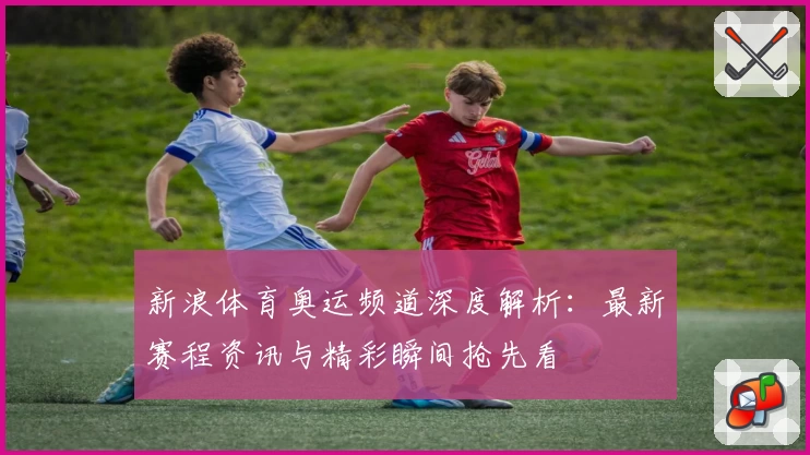 新浪体育奥运频道深度解析：最新赛程资讯与精彩瞬间抢先看