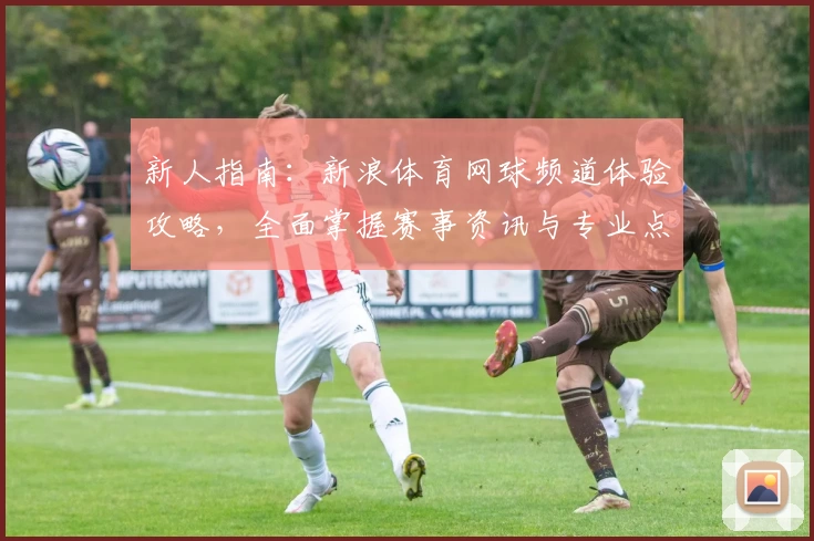 新人指南：新浪体育网球频道体验攻略，全面掌握赛事资讯与专业点评