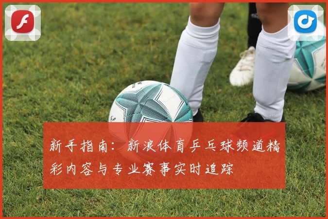 新手指南：新浪体育乒乓球频道精彩内容与专业赛事实时追踪