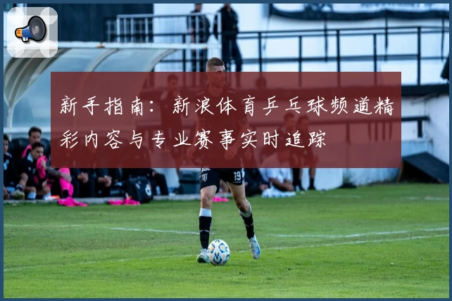 新手指南：新浪体育乒乓球频道精彩内容与专业赛事实时追踪