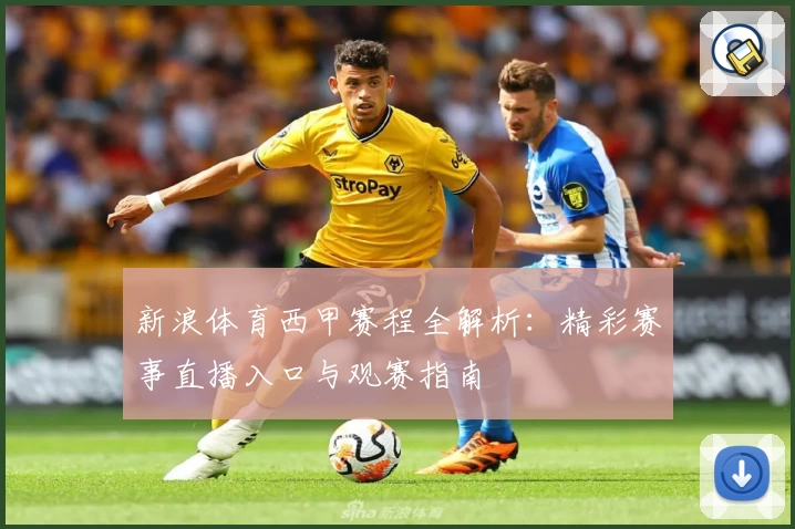 新浪体育西甲赛程全解析：精彩赛事直播入口与观赛指南