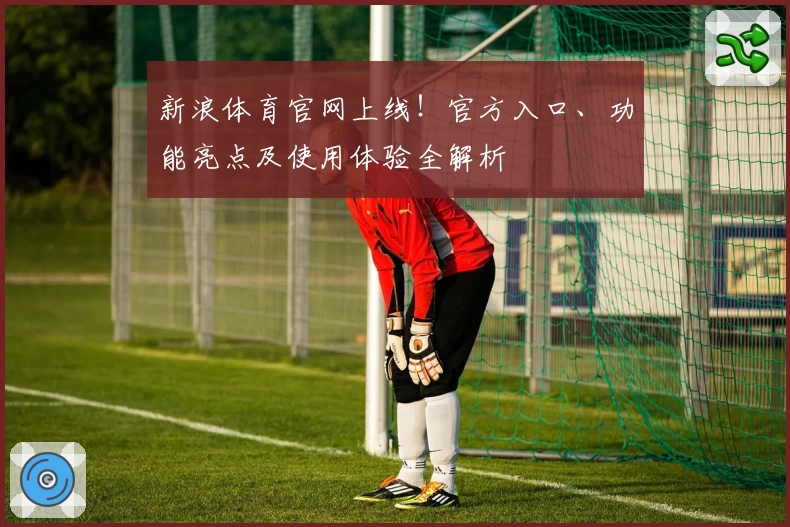 新浪体育官网上线！官方入口、功能亮点及使用体验全解析